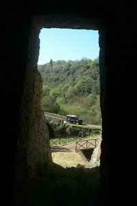 Blera